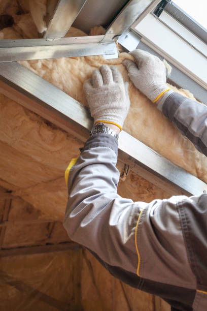 Best Residential Insulation in Haughton, LA